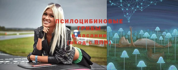 СК Гусь-Хрустальный
