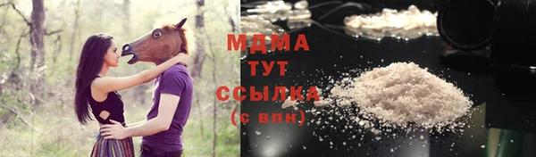 стаф Горняк