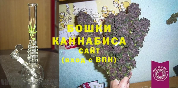СК Гусь-Хрустальный