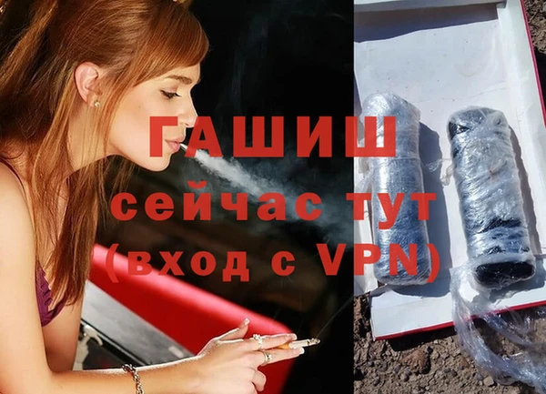стаф Горняк