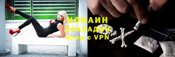 mdpv Гусев