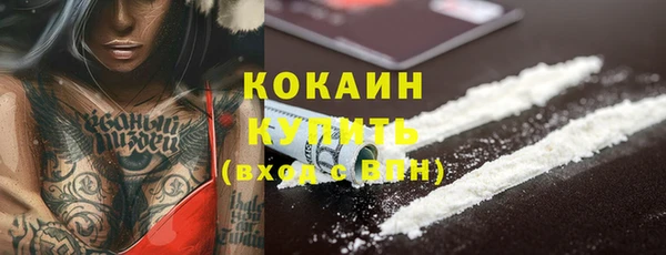 стаф Горняк